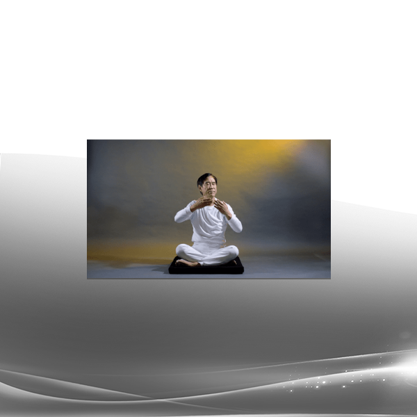 Master Li - 12-Week Virtual Sheng Zhen Series 2023