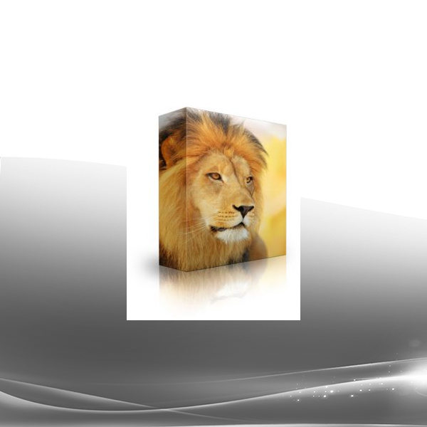 Elvea Systems And Tradewynd - Alpha Male V6 Aurora Edition