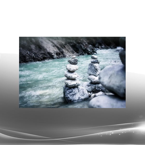 Wendi Friesen - Zen Of Thin