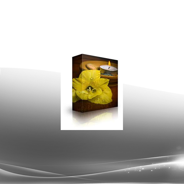 Subliminal Shop - Maximum Healing Speed