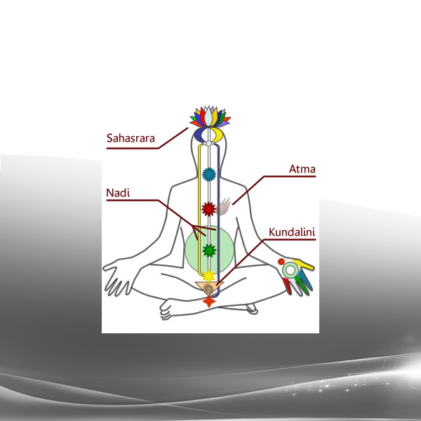 David Verdesi - Superhuman Part 3 - Mind Mandala