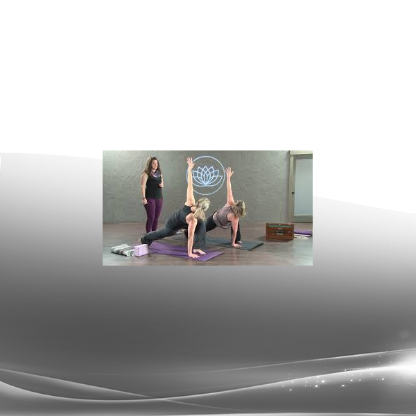 Alanna Kaivalya - Vinyasa, Sequencing & The Subtle Body: Continuing Education for Yoga Teachers
