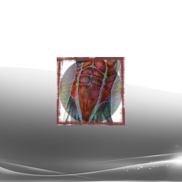 Sapien medicine - The Acquisition of Abdominal Definition